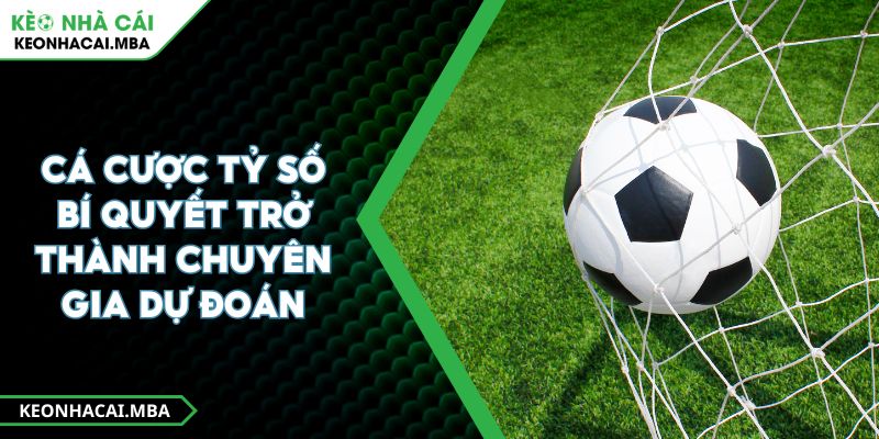Cá Cược Tỷ Số Bí Quyết Trở Thành Chuyên Gia Dự Đoán 1 Cá Cược Tỷ Số Bí Quyết Trở Thành Chuyên Gia Dự Đoán