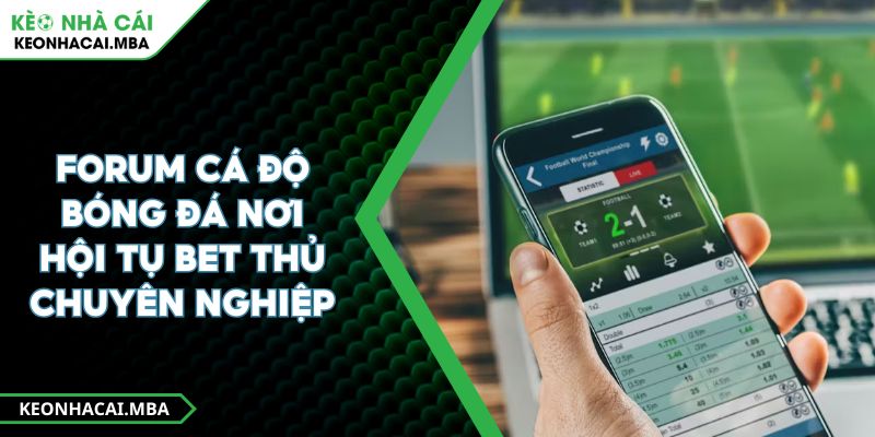 Forum Cá Độ Bóng Đá Nơi Hội Tụ Bet Thủ Chuyên Nghiệp 1 Forum Cá Độ Bóng Đá Nơi Hội Tụ Bet Thủ Chuyên Nghiệp