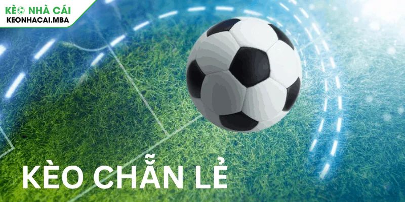 Kèo Chẵn Lẻ Bí Mật Hốt Bạc Từ Cao Thủ Cá Độ Bóng Đá 2 Giải mã sức hút của kèo chẵn lẻ trong thế giới cá cược