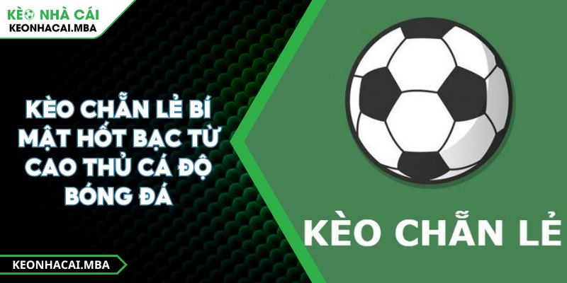 Kèo Chẵn Lẻ Bí Mật Hốt Bạc Từ Cao Thủ Cá Độ Bóng Đá 1 Kèo Chẵn Lẻ Bí Mật Hốt Bạc Từ Cao Thủ Cá Độ Bóng Đá