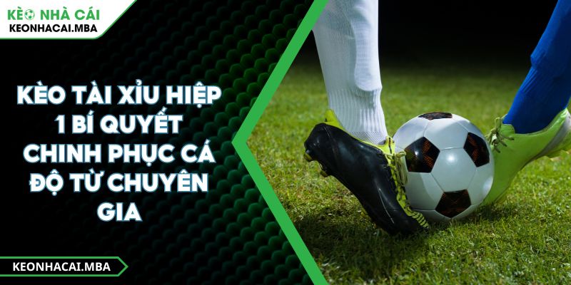 Kèo Tài Xỉu Hiệp 1 Bí Quyết Chinh Phục Cá Độ Từ Chuyên Gia 1 Kèo Tài Xỉu Hiệp 1 Bí Quyết Chinh Phục Cá Độ Từ Chuyên Gia