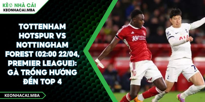 Tottenham Hotspur Vs Nottingham Forest (02:00 22/04, Premier League): Gà Trống Hướng Đến Top 4 1 Tottenham Hotspur Vs Nottingham Forest (02:00 22/04, Premier League): Gà Trống Hướng Đến Top 4