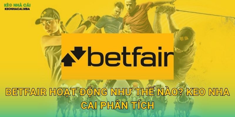 Betfair - Sàn Giao Dịch Cược Độc Đáo Được Keo Nha Cai Giới Thiệu 2 Betfair Hoạt Động Như Thế Nào? Keo Nha Cai Phân Tích