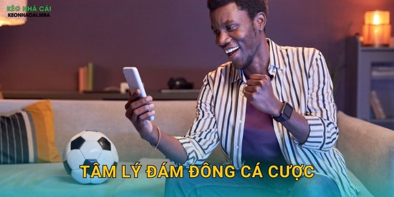 Tâm Lý Đám Đông Cá Cược - Hiểu Để Tránh Bị Cuốn Theo Tại Keonhacai 1 Tâm Lý Đám Đông Cá Cược – Hiểu Để Tránh Bị Cuốn Theo Tại Keonhacai