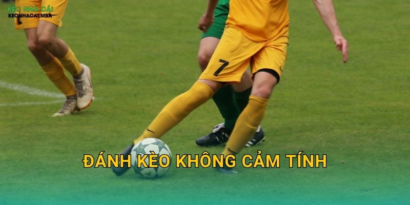 Đánh Kèo Không Cảm Tính - Nền Tảng Của Cược Thủ Lý Trí Tại Keonhacai MBA 1 Đánh Kèo Không Cảm Tính – Nền Tảng Của Cược Thủ Lý Trí Tại Keonhacai MBA