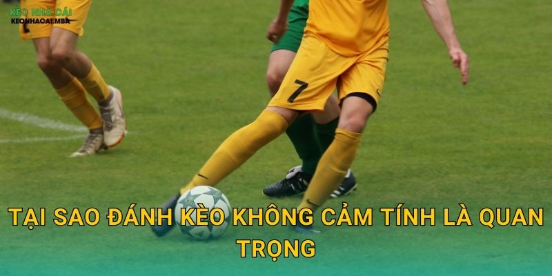 Đánh Kèo Không Cảm Tính - Nền Tảng Của Cược Thủ Lý Trí Tại Keonhacai MBA 2 Tại sao đánh kèo không cảm tính là quan trọng