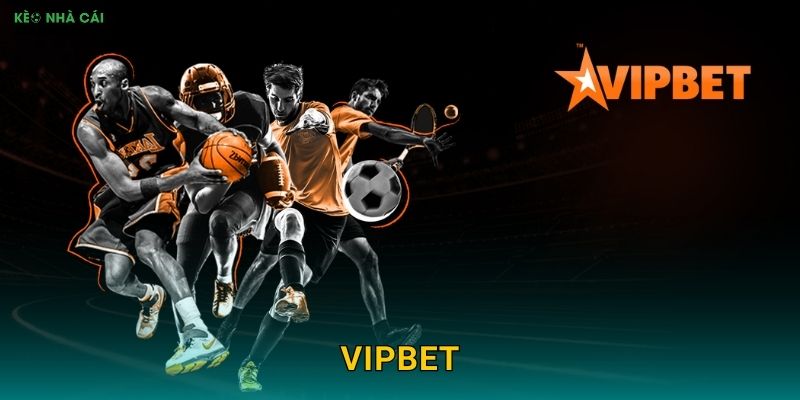 VipBet - Đẳng Cấp VIP Cho Bet Thủ Chuyên Nghiệp Theo Kèo nhà cái MBA 1 VipBet – Đẳng Cấp VIP Cho Bet Thủ Chuyên Nghiệp Theo Kèo nhà cái MBA