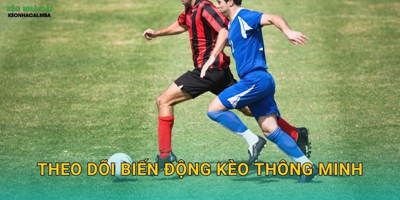 Theo Dõi Biến Động Kèo Thông Minh - Đọc Vị Ý Định Nhà Cái Tại Kèo Nhà Cái MBA 1 Theo Dõi Biến Động Kèo Thông Minh – Đọc Vị Ý Định Nhà Cái Tại Kèo Nhà Cái MBA