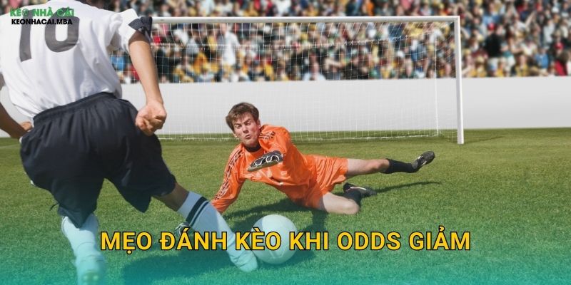 Mẹo Đánh Kèo Khi Odds Giảm - Tận Dụng Tín Hiệu Từ Thị Trường Kèo Nhà Cái MBA 1 Mẹo Đánh Kèo Khi Odds Giảm – Tận Dụng Tín Hiệu Từ Thị Trường Kèo Nhà Cái MBA