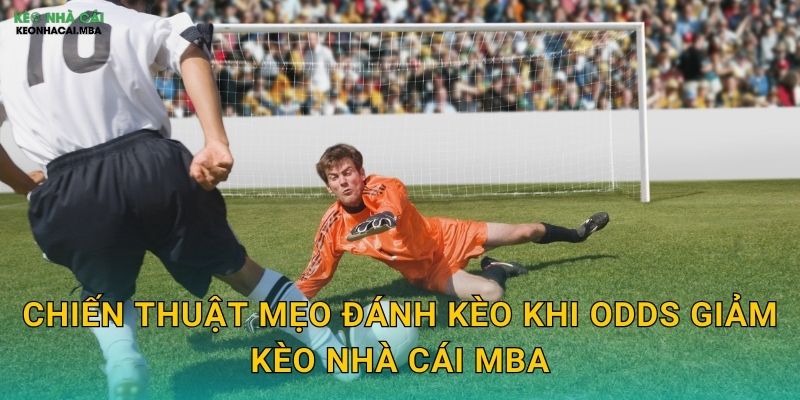 Mẹo Đánh Kèo Khi Odds Giảm - Tận Dụng Tín Hiệu Từ Thị Trường Kèo Nhà Cái MBA 3 Chiến thuật mẹo đánh kèo khi odds giảm kèo nhà cái mba
