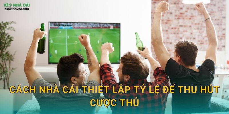 Đọc Vị Tâm Lý Nhà Cái - Lợi Thế Vượt Trội Tại Keo nha cai MBA 2 Cách nhà cái thiết lập tỷ lệ để thu hút cược thủ