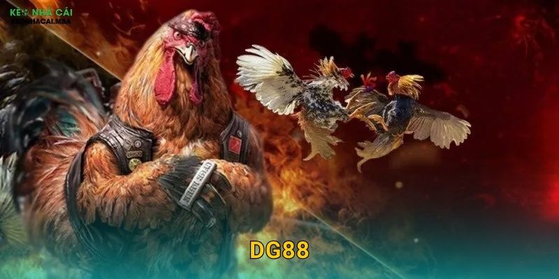 DG88 - Đẳng Cấp Châu Á Qua Lăng Kính Keo nha cai MBA 1 DG88 – Đẳng Cấp Châu Á Qua Lăng Kính Keo nha cai MBA