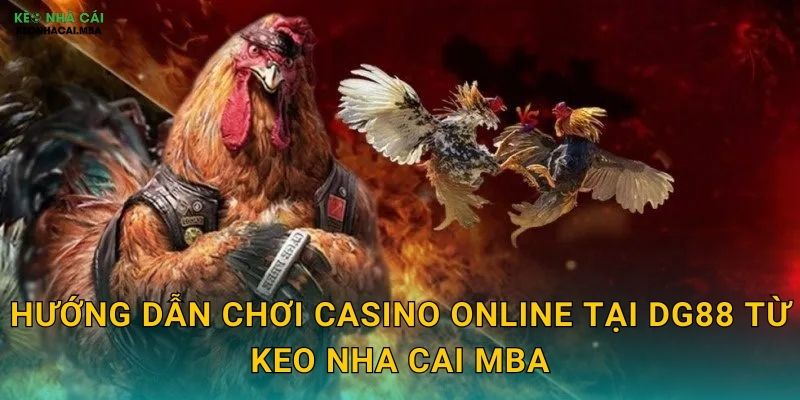 DG88 - Đẳng Cấp Châu Á Qua Lăng Kính Keo nha cai MBA 3 Hướng dẫn chơi casino online tại DG88 từ Keo nha cai MBA