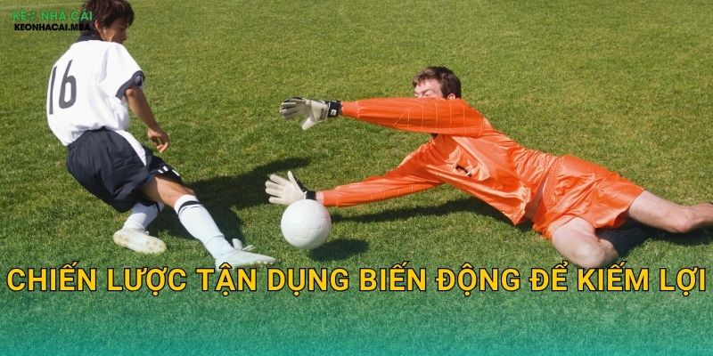 Mẹo Đánh Kèo Khi Kèo Rung - Bắt Sóng Thị Trường Tại Keo nha cai MBA 3 Chiến lược tận dụng biến động để kiếm lợi