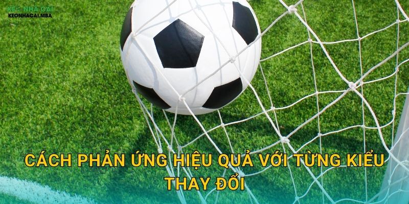 Quan Sát Thay Đổi Tỷ Lệ Chấp - Giải Mã Tín Hiệu Thị Trường Tại Keo nha cai MBA 3 Cách phản ứng hiệu quả với từng kiểu thay đổi