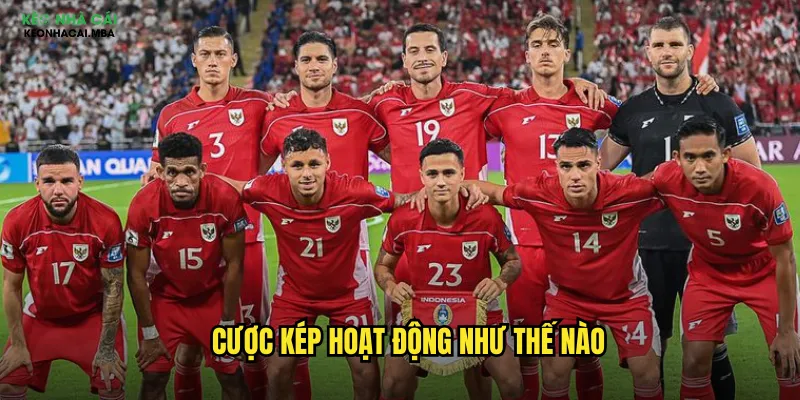 Cược Kép Keonhacai Mba - Tăng Gấp Đôi Cơ Hội Chiến Thắng 2 Cược kép hoạt động như thế nào