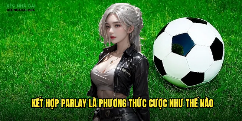 Kết hợp parlay là phương thức cược như thế nào