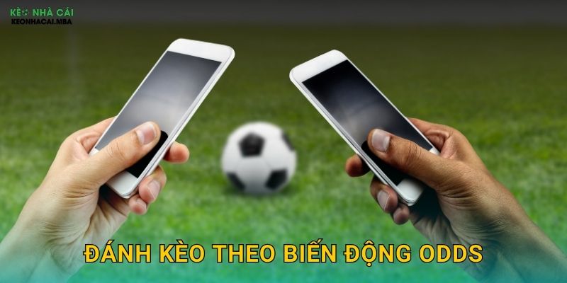Đánh Kèo Theo Biến Động Odds - Kỹ Thuật Chuyên Nghiệp Tại Kèo Nhà Cái 1 Đánh Kèo Theo Biến Động Odds – Kỹ Thuật Chuyên Nghiệp Tại Kèo Nhà Cái