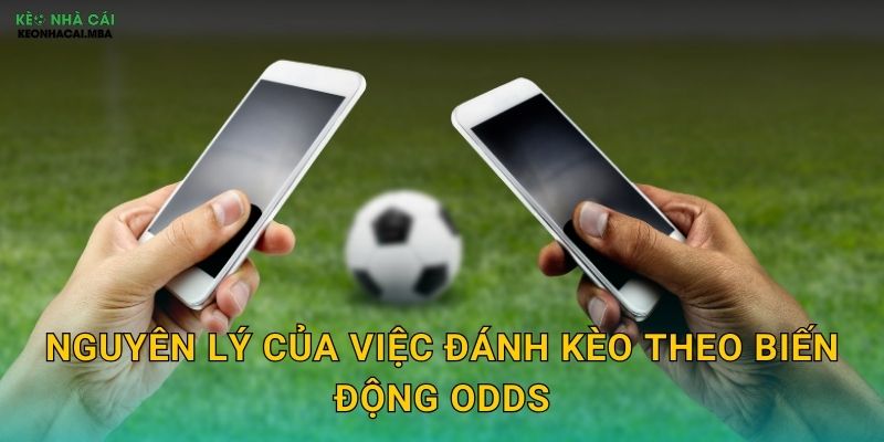 Đánh Kèo Theo Biến Động Odds - Kỹ Thuật Chuyên Nghiệp Tại Kèo Nhà Cái 2 Nguyên lý của việc đánh kèo theo biến động odds