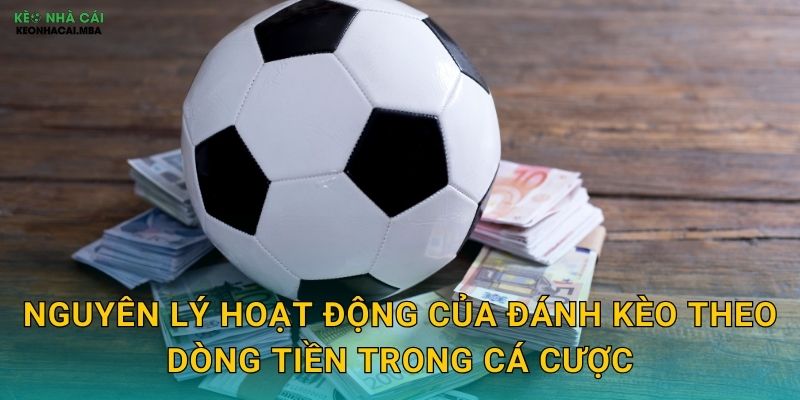 Đánh Kèo Theo Dòng Tiền - Bí Quyết Đi Theo Số Đông Thông Minh Tại Keo Nha Cai 2 Nguyên lý hoạt động của đánh kèo theo dòng tiền trong cá cược