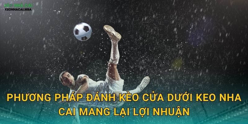 Đánh Kèo Cửa Dưới - Chiến Thuật An Toàn Cho Người Chơi Tại Keo Nha Cai 3 Phương pháp đánh kèo cửa dưới keo nha cai mang lại lợi nhuận
