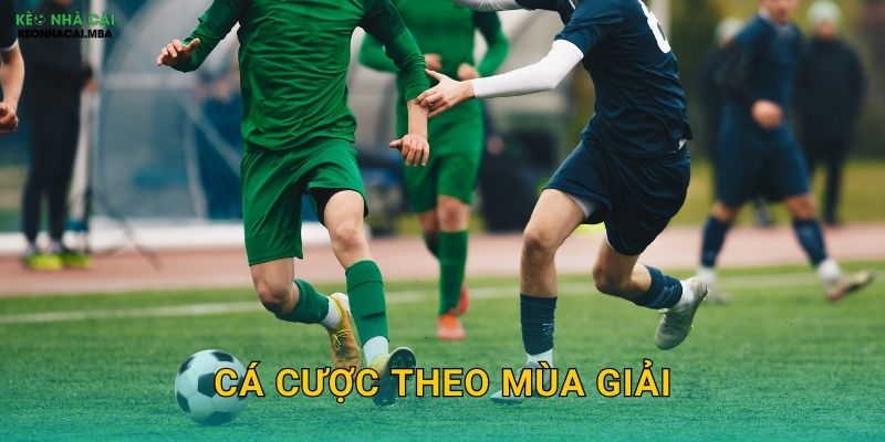 Cá Cược Theo Mùa Giải - Điều Chỉnh Chiến Lược Linh Hoạt Cùng Keo Nha Cai 1 Cá Cược Theo Mùa Giải – Điều Chỉnh Chiến Lược Linh Hoạt Cùng Keo Nha Cai