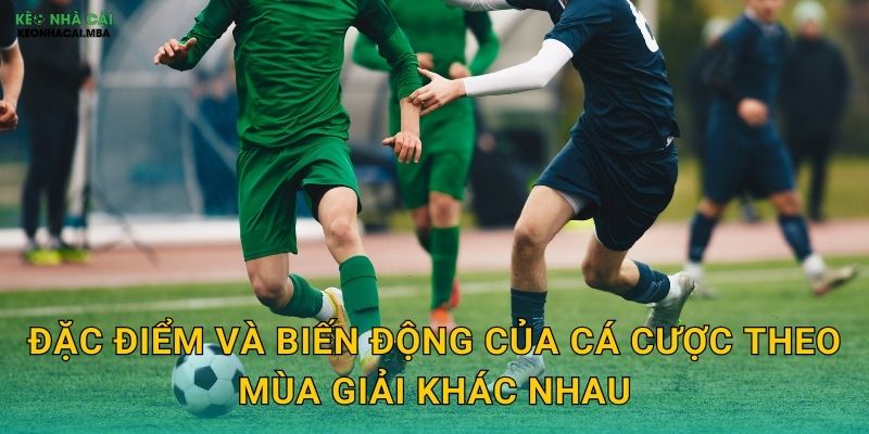 Cá Cược Theo Mùa Giải - Điều Chỉnh Chiến Lược Linh Hoạt Cùng Keo Nha Cai 2 Đặc điểm và biến động của cá cược theo mùa giải khác nhau