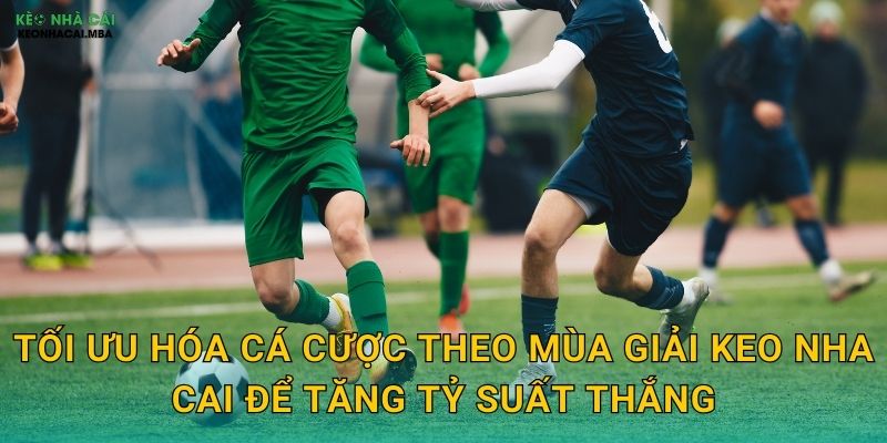 Cá Cược Theo Mùa Giải - Điều Chỉnh Chiến Lược Linh Hoạt Cùng Keo Nha Cai 3 Tối ưu hóa cá cược theo mùa giải keo nha cai để tăng tỷ suất thắng
