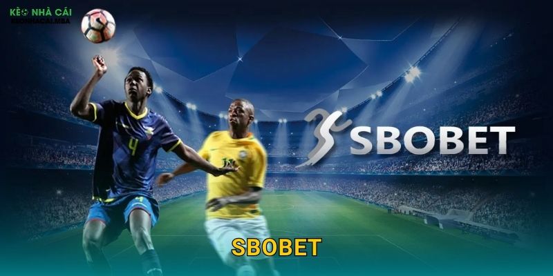 SBOBET - Ông Trùm Cá Cược Thể Thao Trong Mắt Kèo Nhà Cái 1 SBOBET – Ông Trùm Cá Cược Thể Thao Trong Mắt Kèo Nhà Cái