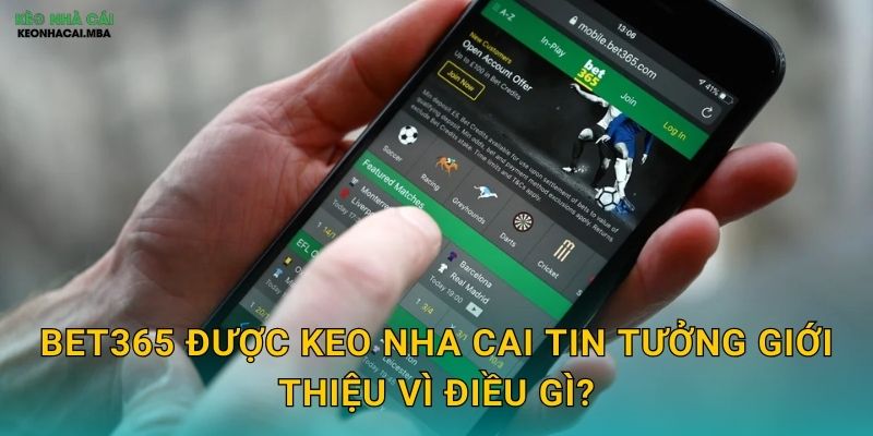 Bet365 - Ông Lớn Toàn Cầu Được Keo Nha Cai Đánh Giá Cao 2 Bet365 Được Keo Nha Cai Tin Tưởng Giới Thiệu Vì Điều Gì?