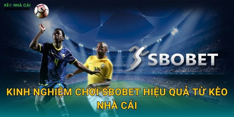 SBOBET - Ông Trùm Cá Cược Thể Thao Trong Mắt Kèo Nhà Cái 3 Kinh Nghiệm Chơi SBOBET Hiệu Quả Từ Kèo Nhà Cái