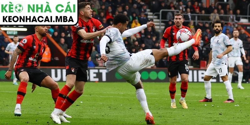 Soi kèo AFC Bournemouth vs Liverpool (00:30 25/01, Ngoại hạng Anh) 4 Thông tin lực lượng trận AFC Bournemouth vs Liverpool (00:30 25/01, Ngoại hạng Anh)