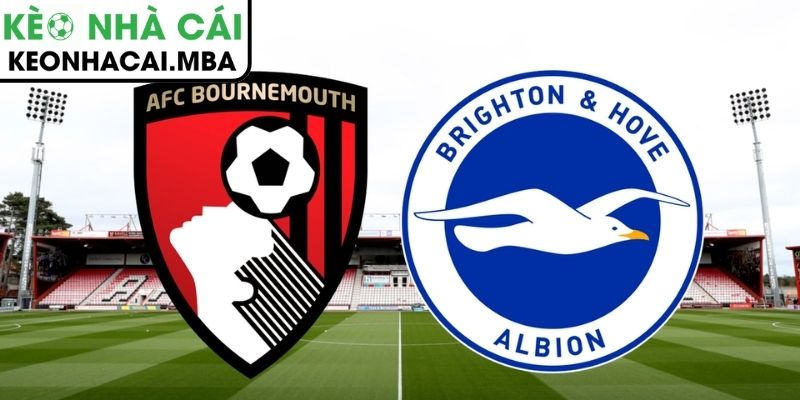 Soi kèo Brighton & Hove Albion vs AFC Bournemouth (03:00 20/01, Ngoại hạng Anh) 3 Kèo châu Á trận Brighton & Hove Albion vs AFC Bournemouth (03:00 20/01)