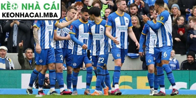 Soi kèo Brighton & Hove Albion vs AFC Bournemouth (03:00 20/01, Ngoại hạng Anh) 2 Phong độ Brighton