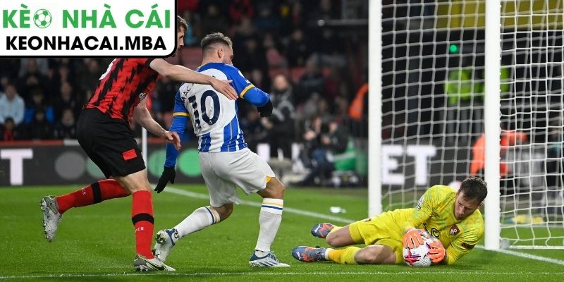 Soi kèo Brighton & Hove Albion vs AFC Bournemouth (03:00 20/01, Ngoại hạng Anh) 4 Thông tin lực lượng trận Brighton vs AFC Bournemouth (03:00 20/01, Ngoại hạng Anh)