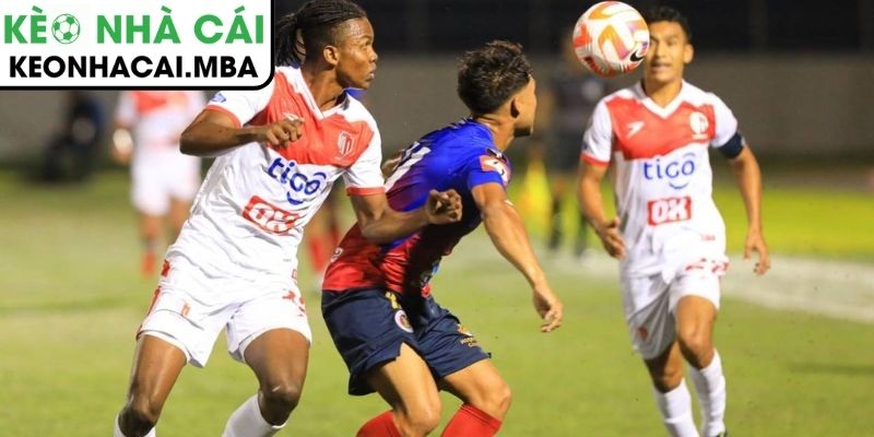 Soi kèo CD Nacional vs Santa Clara (22:30 11/1, VĐQG Bồ Đào Nha) 4 Thông tin lực lượng trận CD Nacional vs Santa Clara (22:30 11/1, VĐQG Bồ Đào Nha)