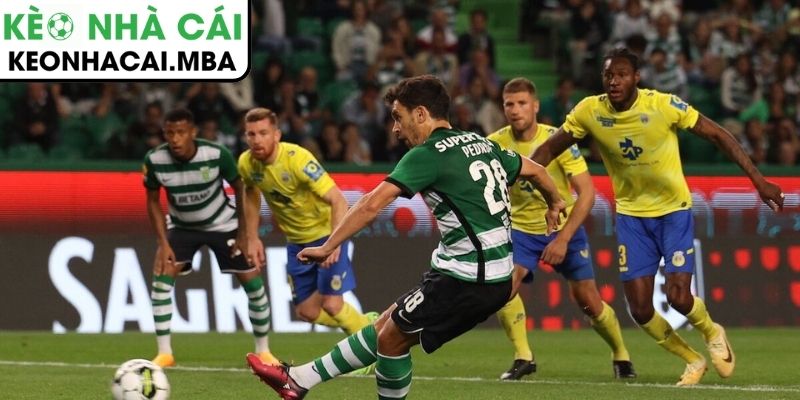 Soi kèo FC Arouca vs Sporting CP (01:00 25/01, VĐQG Bồ Đào Nha) 4 Thông tin lực lượng trận FC Arouca vs Sporting CP (01:00 25/01, VĐQG Bồ Đào Nha)