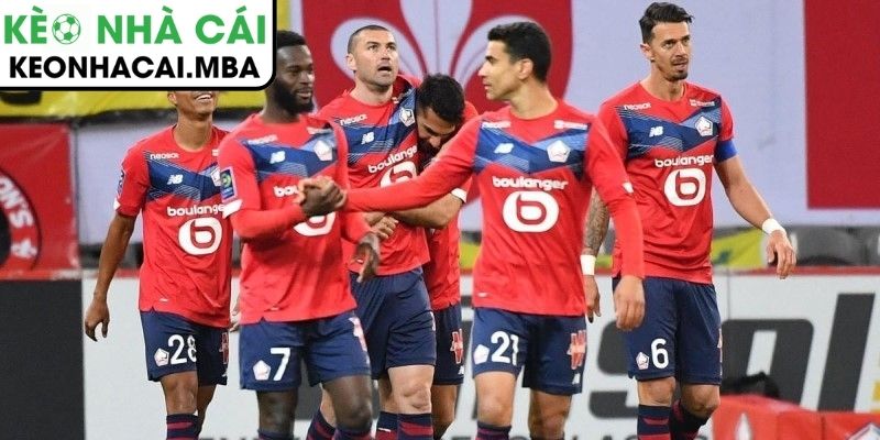 Soi kèo Crvena Zvezda vs Lille (00:45 27/02, UEFA Europa League) 4 Dự đoán kết quả trận Crvena Zvezda vs Lille (00:45 27/02, UEFA Europa League)