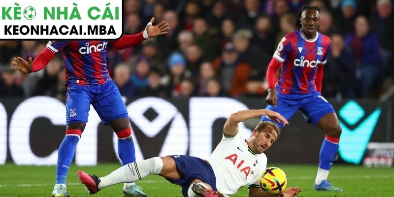 Soi kèo Tottenham Hotspur vs Crystal Palace (03:00 06/03, Ngoại hạng Anh) 4 Dự đoán kết quả trận Tottenham Hotspur vs Crystal Palace (03:00 06/03, Ngoại hạng Anh)