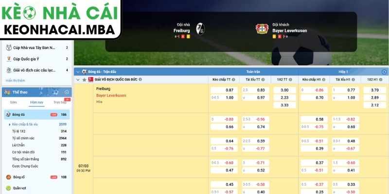 Soi kèo Freiburg vs Bayer Leverkusen (21:30 07/03, Bundesliga): Thử thách khó cho chủ nhà 3 Kèo châu Á trận Freiburg vs Bayer Leverkusen (21:30 07/03, Bundesliga)