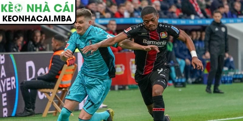 Soi kèo Freiburg vs Bayer Leverkusen (21:30 07/03, Bundesliga): Thử thách khó cho chủ nhà 4 Thông tin lực lượng trận Freiburg vs Bayer Leverkusen (21:30 07/03, Bundesliga)