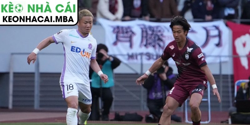 Soi kèo Vissel Kobe vs Sanfrecce Hiroshima (17:00 27/03, J-League 1) 4 Thông tin lực lượng trận Vissel Kobe vs Sanfrecce Hiroshima (17:00 27/03, J-League 1)