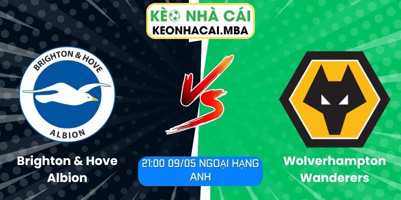 Soi kèo Brighton & Hove Albion vs Wolverhampton Wanderers (21:00 09/05, Ngoại hạng Anh) 1 Brighton & Hove Albion vs Wolverhampton Wanderers