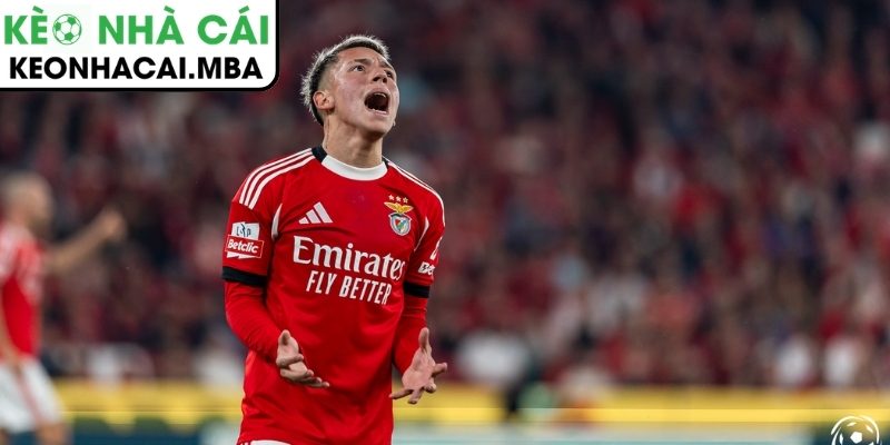 Học trò của Mourinho nhận án treo giò 6 trận vì xúc phạm Vinicius, nguy cơ lỡ hẹn World Cup 4 Nguy cơ lỡ hẹn World Cup 2026