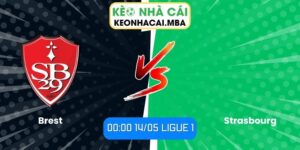 Brest vs Strasbourg