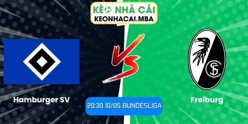 Hamburger SV vs Freiburg