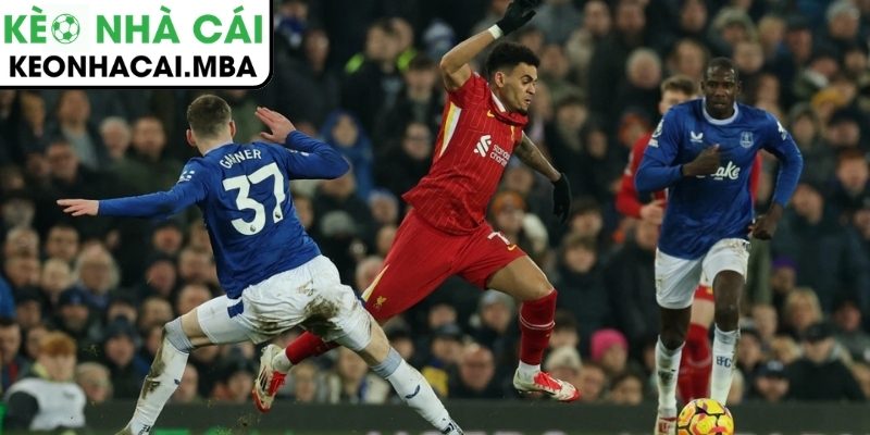 Everton đánh rơi chiến thắng phút cuối