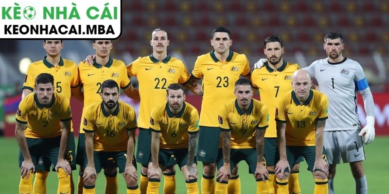 Bảng D World Cup 2026: Chủ nhà Mỹ đối mặt thử thách lớn 4 Australia quyết tâm cạnh tranh vé đi tiếp tại World Cup