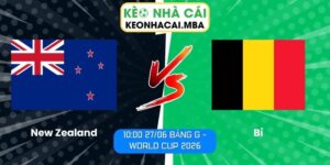 New Zealand vs Bỉ