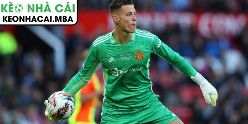 Radek Vitek sẵn sàng rời Man United để tìm suất bắt chính mới 2 Tiềm năng lớn của thủ thành Radek Vitek